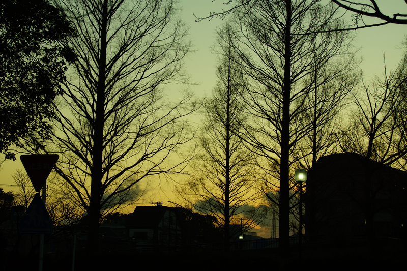 f:id:goldhead:20200111212129j:plain