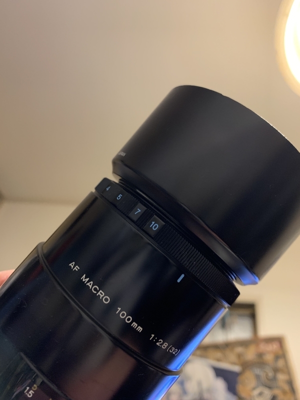 f:id:goldhead:20210106184258j:plain