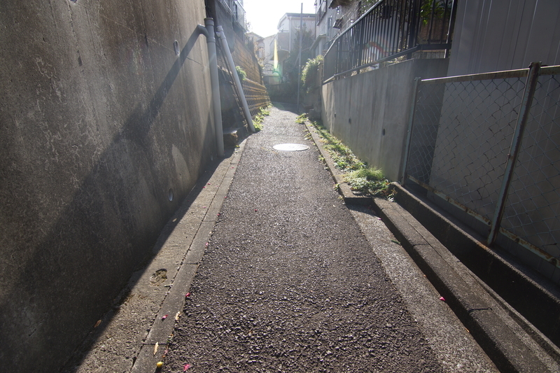 f:id:goldhead:20210116211853j:plain