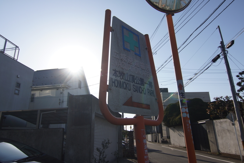 f:id:goldhead:20210116212252j:plain