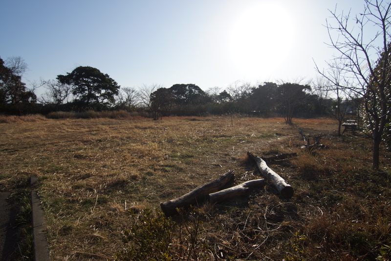 f:id:goldhead:20210116212523j:plain