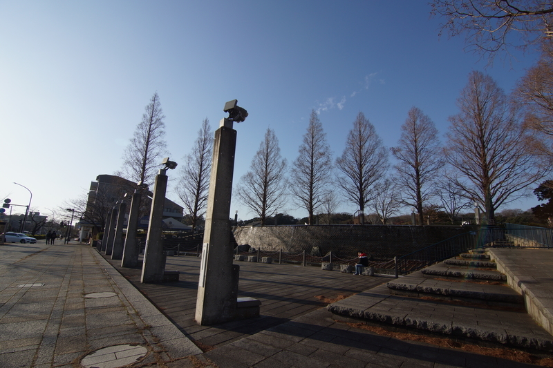 f:id:goldhead:20210116213014j:plain