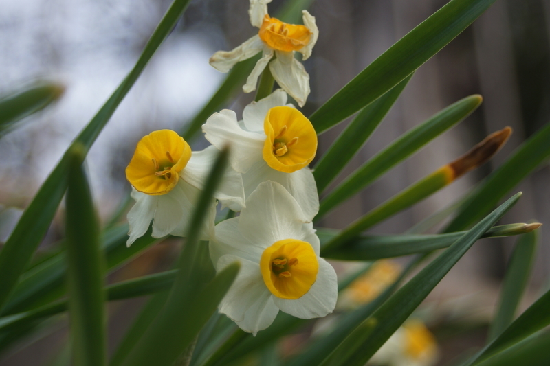 f:id:goldhead:20210223173706j:plain