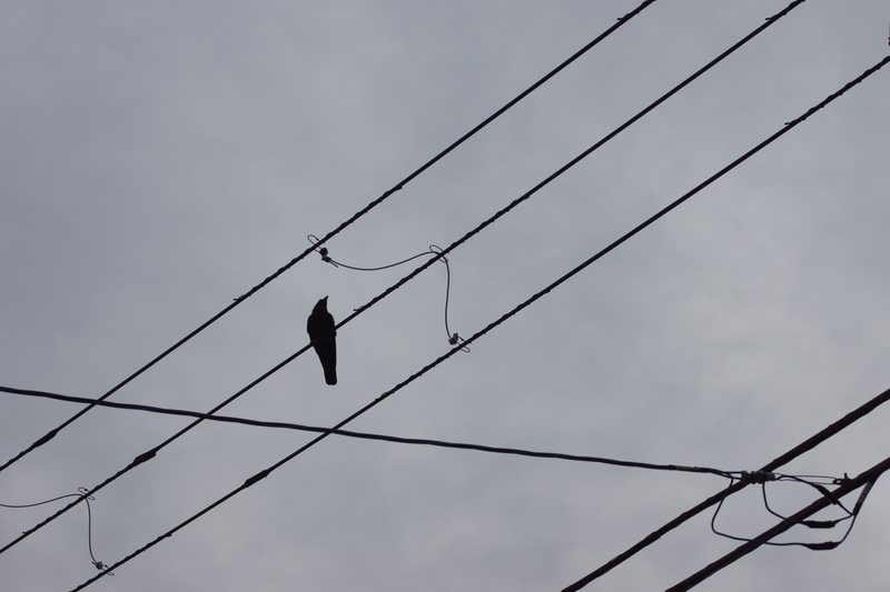 f:id:goldhead:20210223173726j:plain