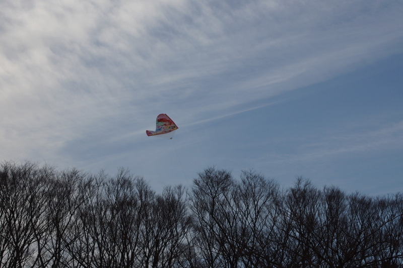 f:id:goldhead:20210223173829j:plain