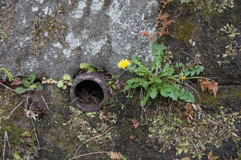 f:id:goldhead:20210328181732j:plain