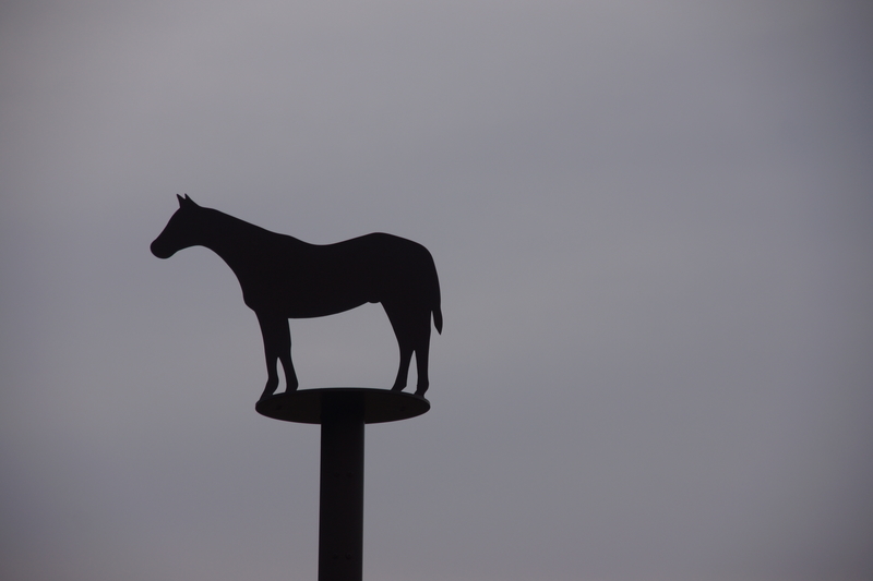 f:id:goldhead:20210328181951j:plain