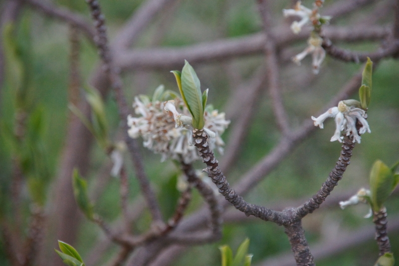 f:id:goldhead:20210328182130j:plain