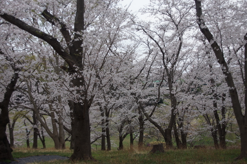 f:id:goldhead:20210328182150j:plain