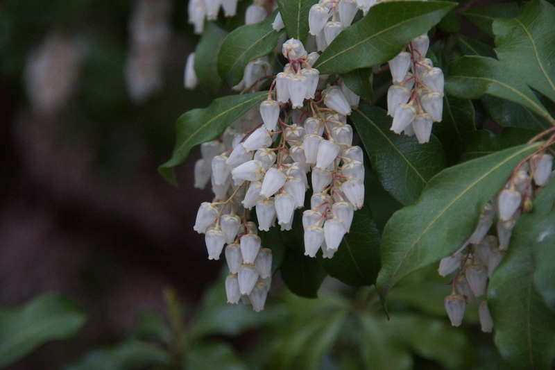 f:id:goldhead:20210328182327j:plain