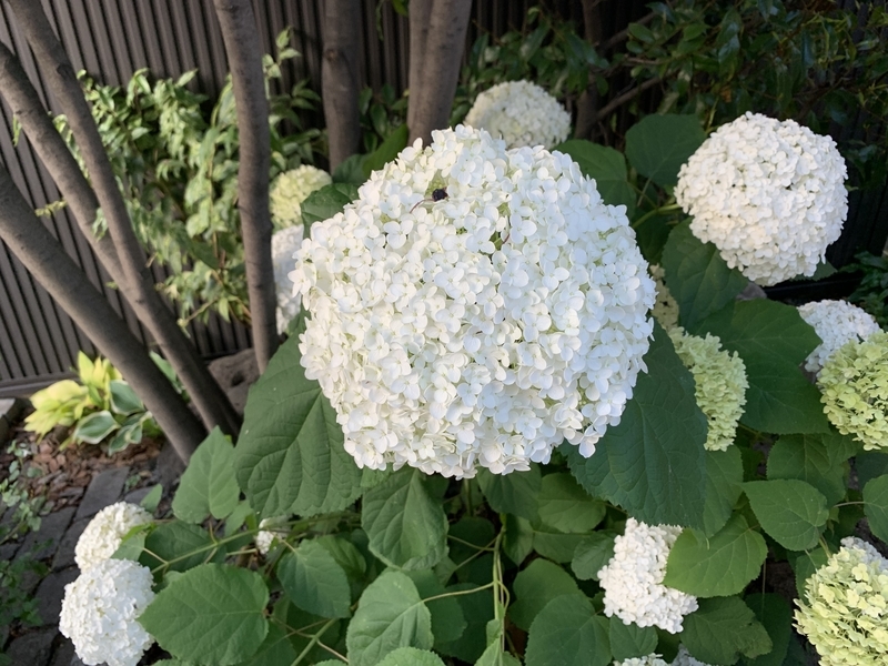 f:id:goldhead:20210612183413j:plain