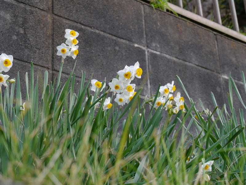 f:id:goldhead:20211230165032j:plain