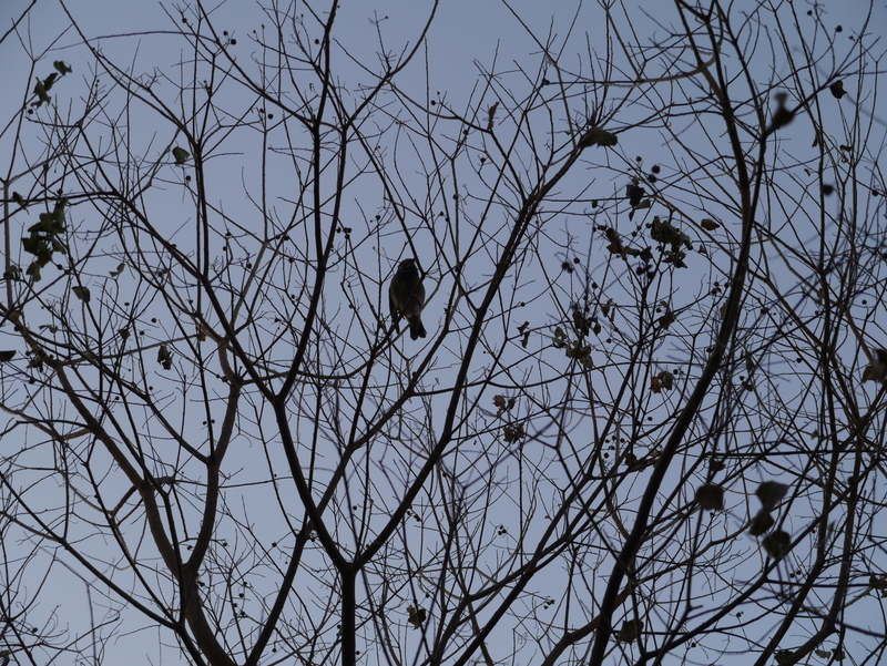 f:id:goldhead:20211230165043j:plain