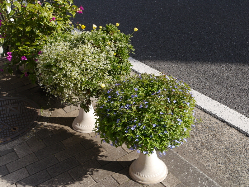 f:id:goldhead:20220102163024j:plain