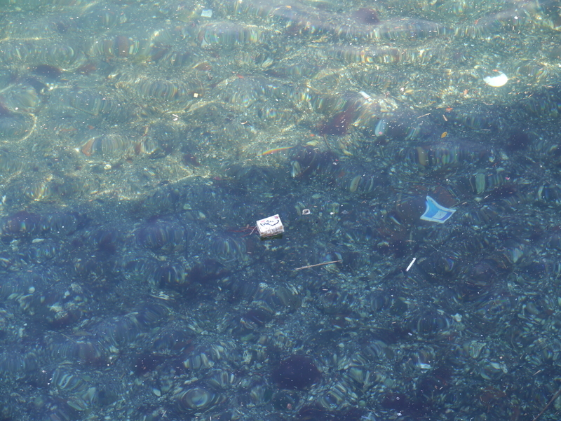 f:id:goldhead:20220102163222j:plain