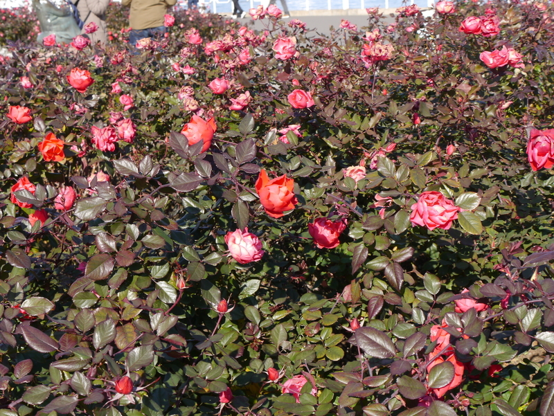 f:id:goldhead:20220102163323j:plain