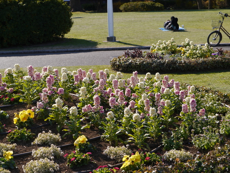 f:id:goldhead:20220102163348j:plain