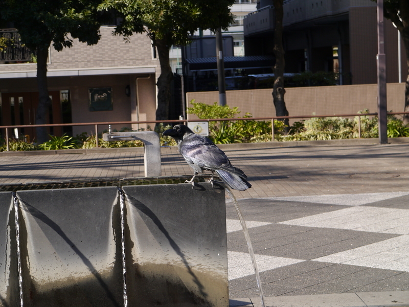 f:id:goldhead:20220102174719j:plain