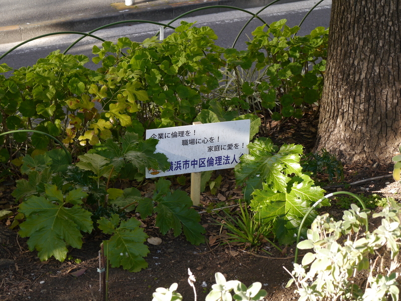 f:id:goldhead:20220102174742j:plain