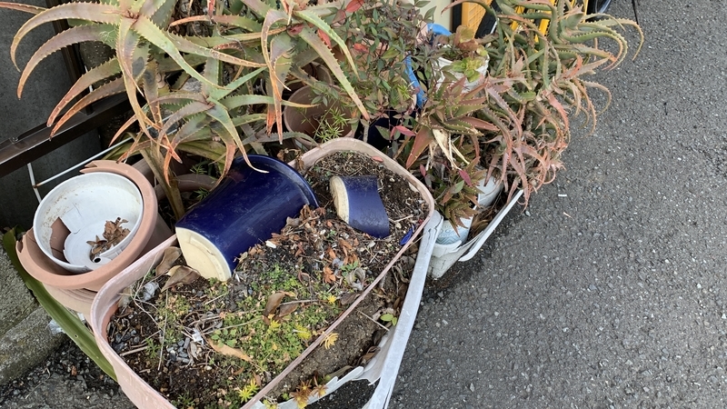 f:id:goldhead:20220211173919j:plain