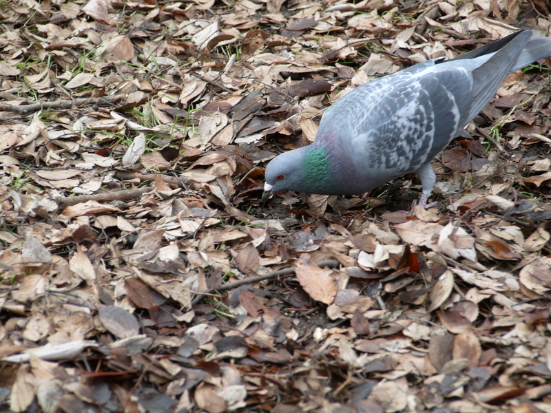 f:id:goldhead:20220220172431j:plain