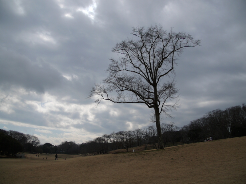 f:id:goldhead:20220220172449j:plain