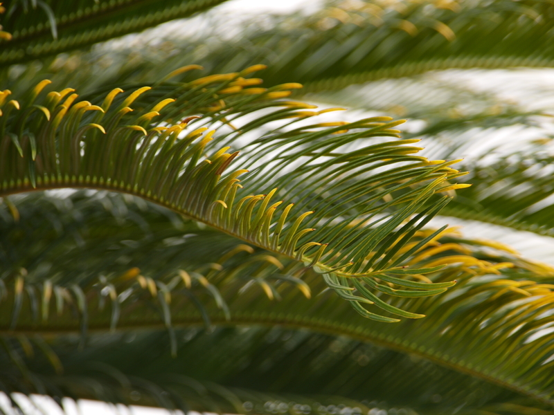 f:id:goldhead:20220220172634j:plain