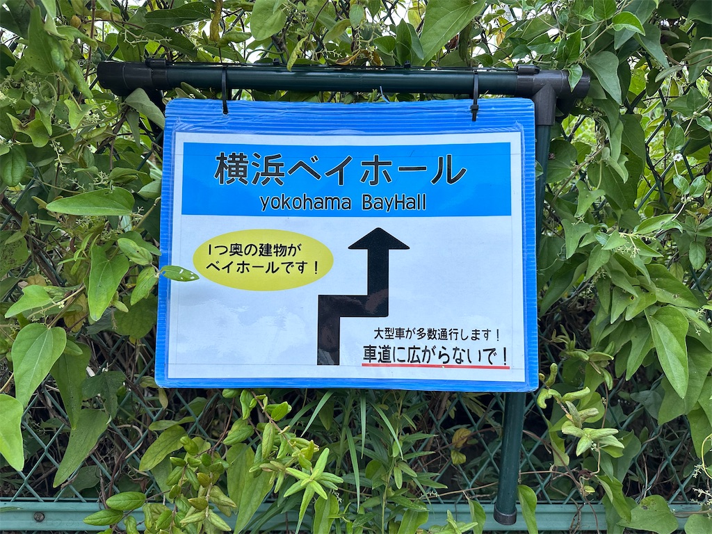 f:id:goldhead:20230824013334j:image