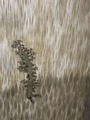 20260505234850