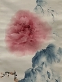 20260505234934