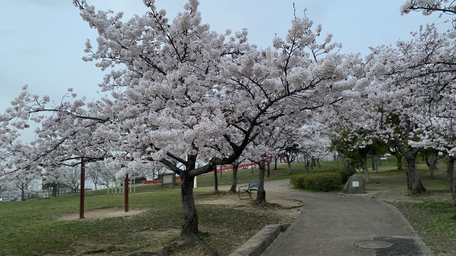f:id:goldhoneycandy:20210331011151j:image