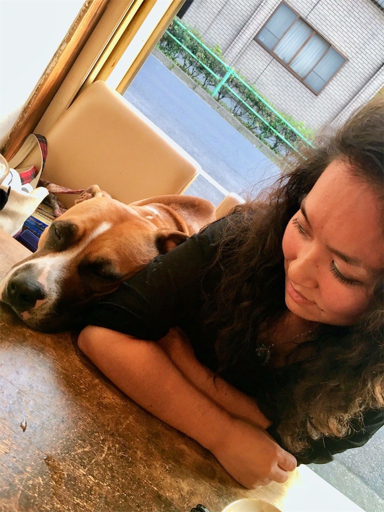 f:id:goldmf:20190116151227j:image f:id:goldmf:20190116151227j:image