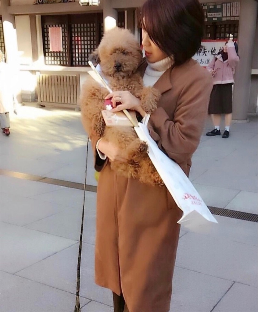 f:id:goldmf:20190123235508j:image f:id:goldmf:20190123235508j:image