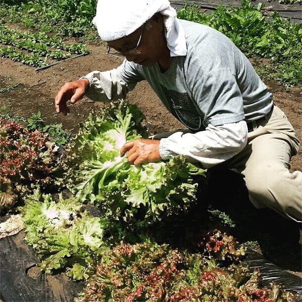 f:id:goldmf:20190429130740j:plain f:id:goldmf:20190429130740j:plain