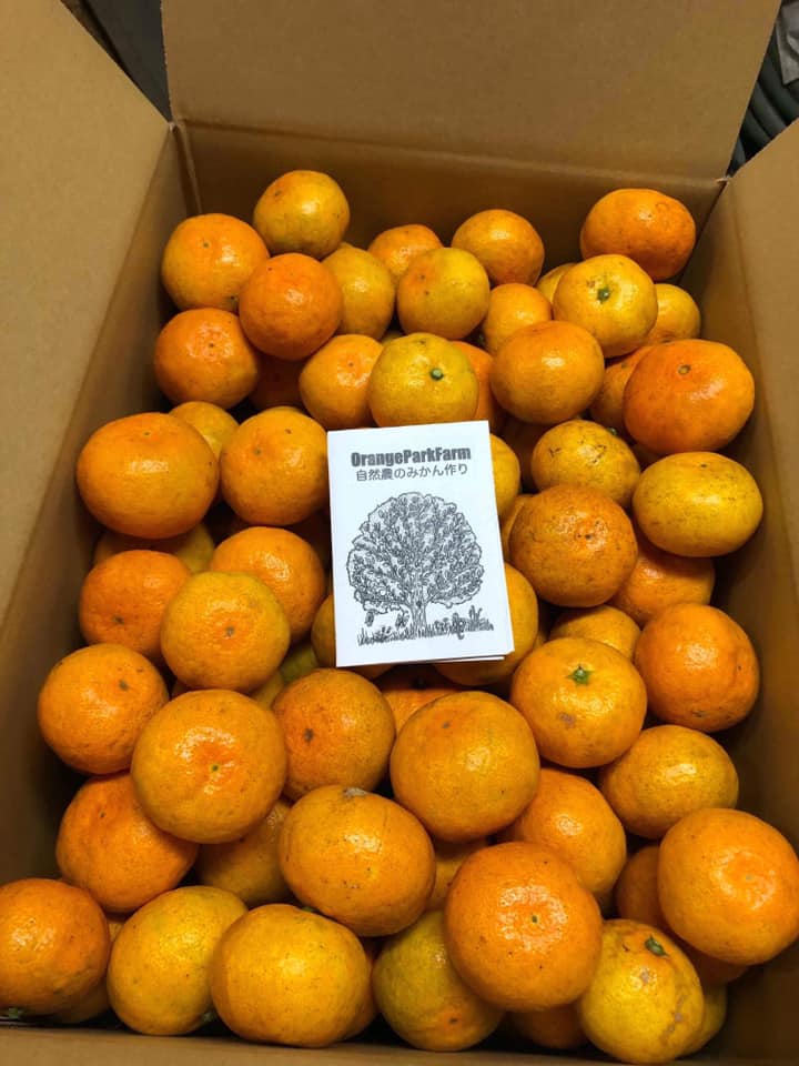 f:id:goldmf:20191109143924j:plain f:id:goldmf:20191109143924j:plain