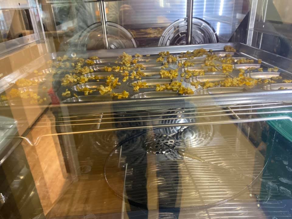 f:id:goldmf:20191112004701j:plain f:id:goldmf:20191112004701j:plain