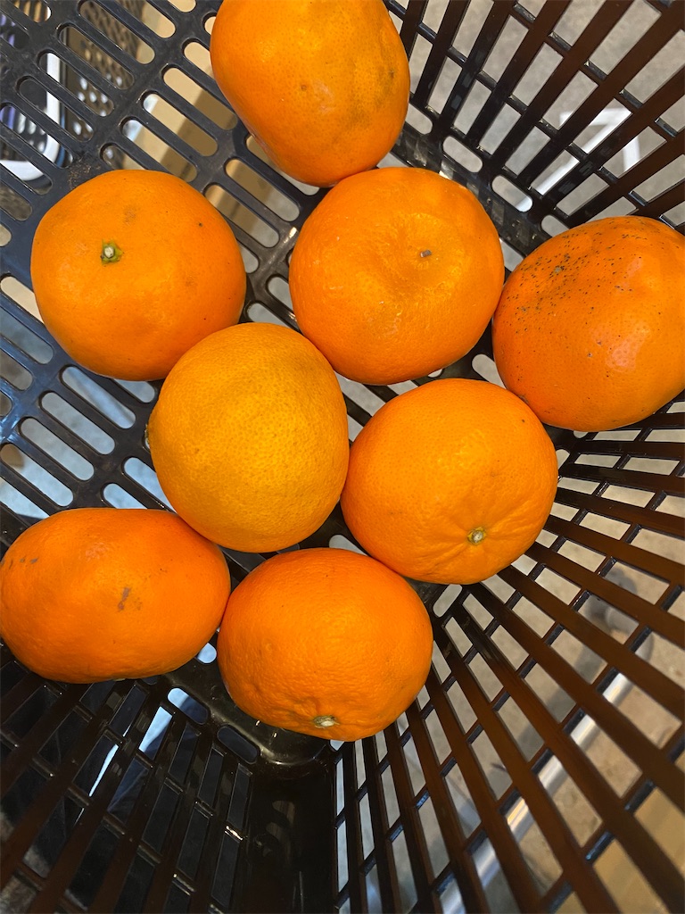 f:id:goldmf:20200329074215j:image f:id:goldmf:20200329074215j:image