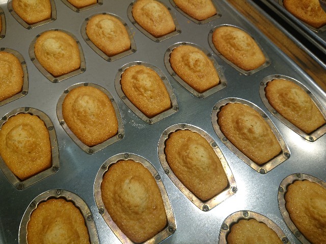 f:id:goldmf:20201110225601j:image f:id:goldmf:20201110225601j:image