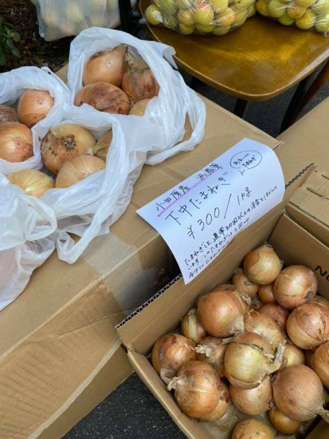 f:id:goldmf:20210209164336j:image f:id:goldmf:20210209164336j:image