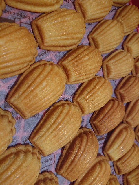 f:id:goldmf:20210228174248j:image f:id:goldmf:20210228174248j:image