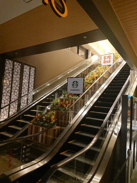 f:id:goldmf:20210228180320j:image f:id:goldmf:20210228180320j:image