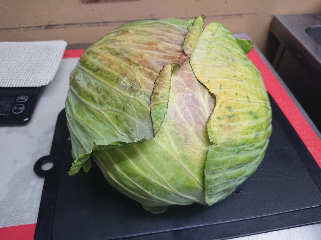 f:id:goldmf:20210302231659j:image f:id:goldmf:20210302231659j:image