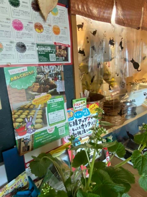 f:id:goldmf:20210407234553j:image f:id:goldmf:20210407234553j:image