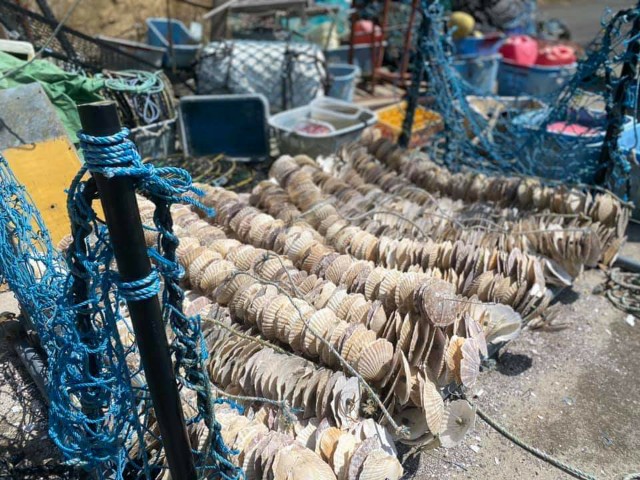 f:id:goldmf:20210407235359j:image f:id:goldmf:20210407235359j:image