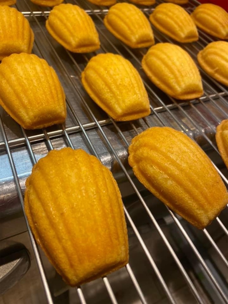 f:id:goldmf:20231013090933j:image f:id:goldmf:20231013090933j:image