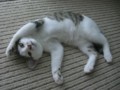 20120727090651
