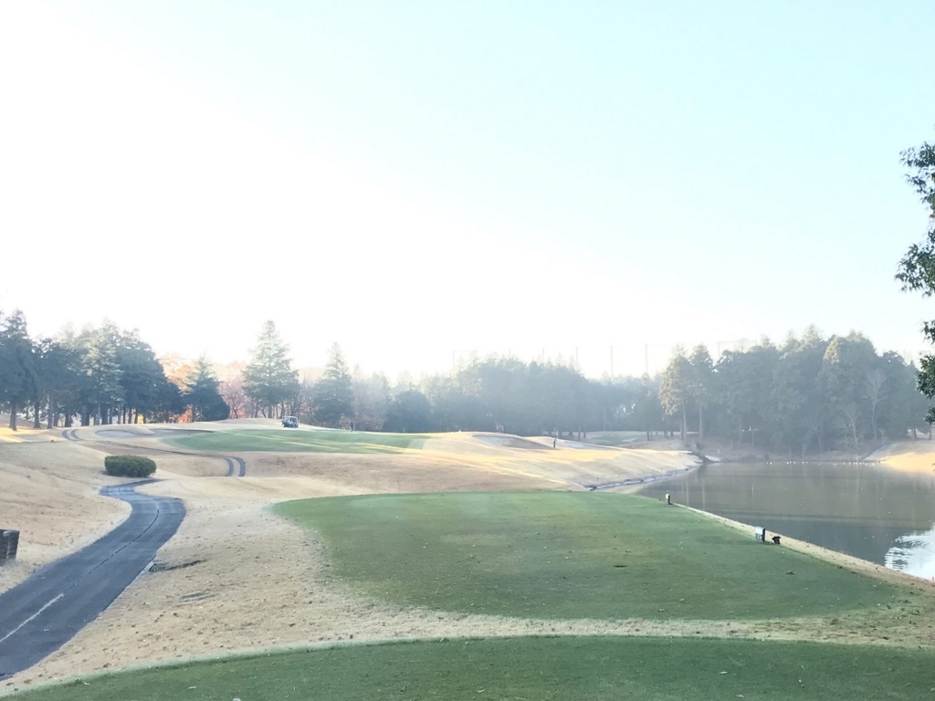 0 N697 ゴルフ場 オールドオーチャードゴルフクラブ テレカ 人気のクリスマスアイテムがいっぱい