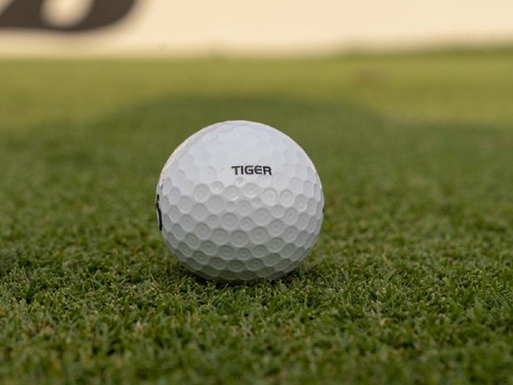 スコッティキャメロン マスターズ タイガーウッズ マキロイ 限定