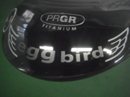 egg bird