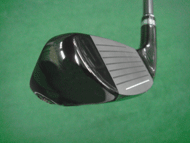 PRGR egg i+